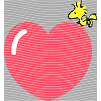 Valentine's Day-QRJ  5551